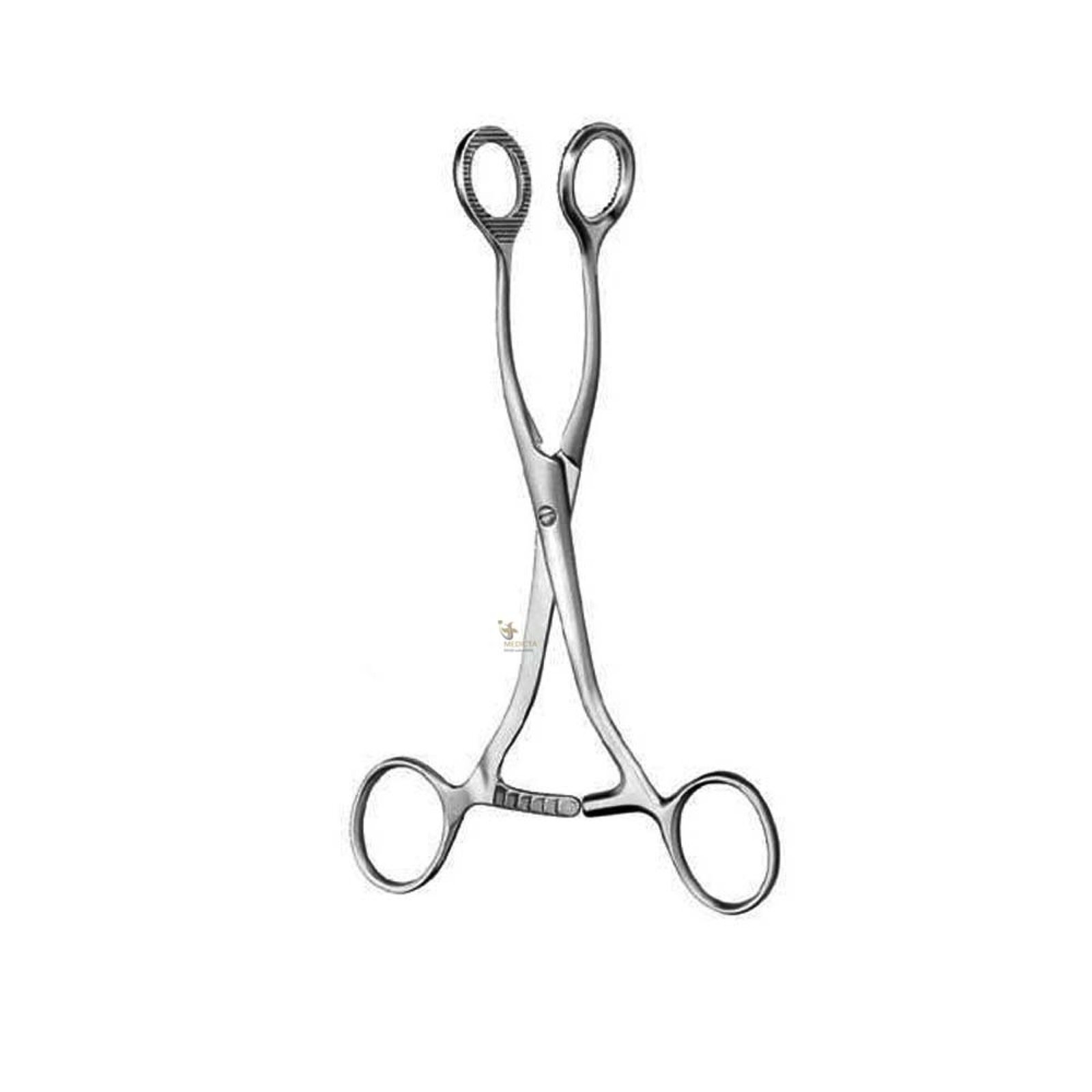 Surgical Collins Tongue Seizing Forceps Jaws Wide-Laboratory Forceps